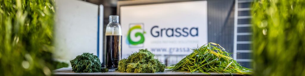 Grassameerwaardeuitgroen Cover